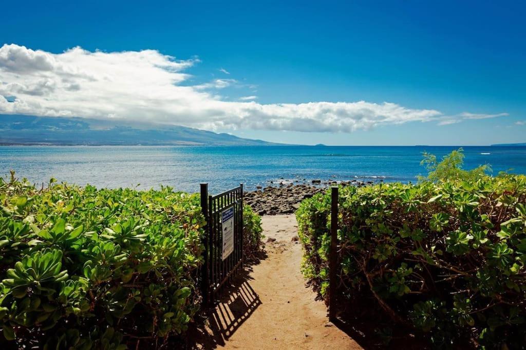 Stunning Maui Direct Ocean Front On The Beach, Walk To Beach From Condo, Watch Turtles, Whales, Ac In All Rooms Ocean View Pool And Spa ワイルク エクステリア 写真