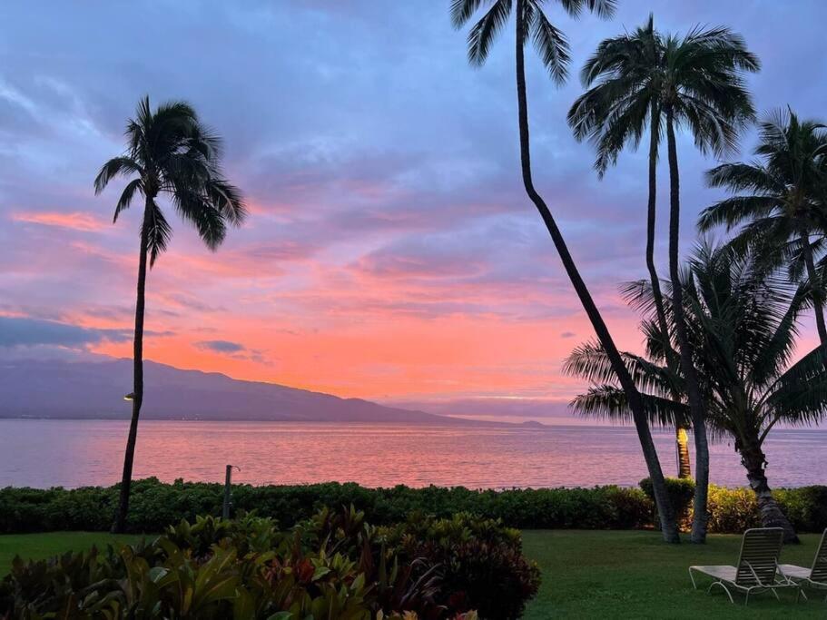 Stunning Maui Direct Ocean Front On The Beach, Walk To Beach From Condo, Watch Turtles, Whales, Ac In All Rooms Ocean View Pool And Spa ワイルク エクステリア 写真